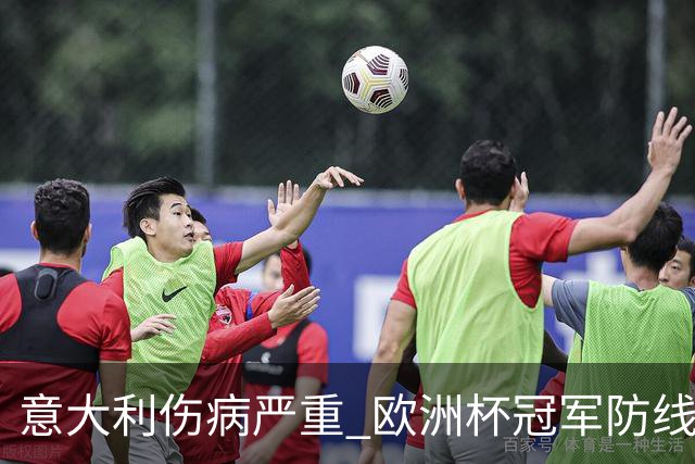 意大利伤病严重 欧洲杯冠军防线或全部无法上场